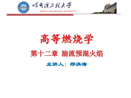 高等燃烧学讲义第12章(郑洪涛4学时)
