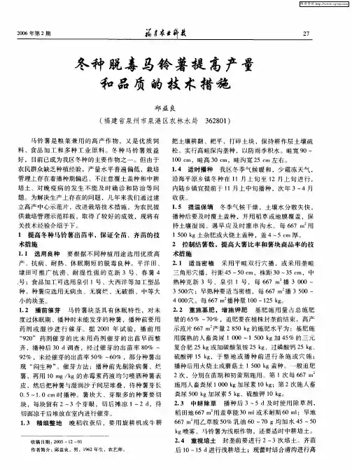 冬种脱毒马铃薯提高产量和品质的技术措施
