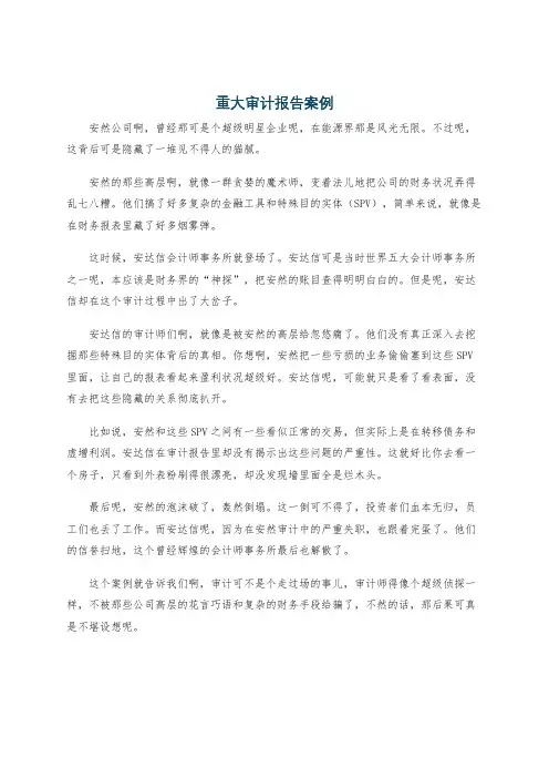 重大审计报告案例