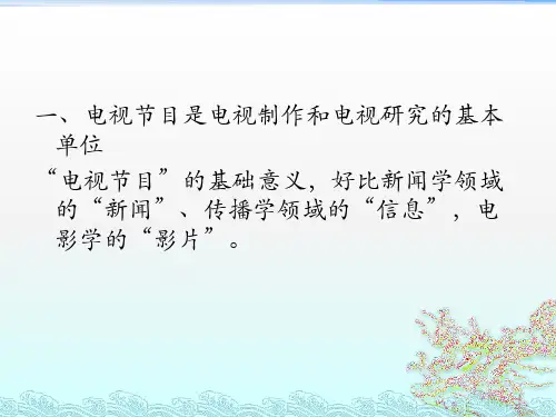 电视节目类型与形态研究第一讲