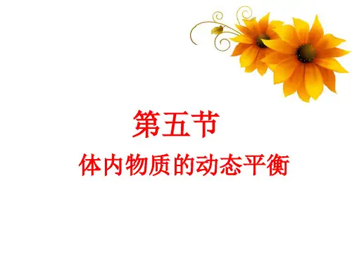 第五节 体内物质的动态平衡