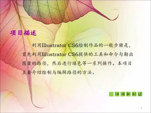 《中文版Illustrator CS6平面设计案例教程》第二讲PPT课件