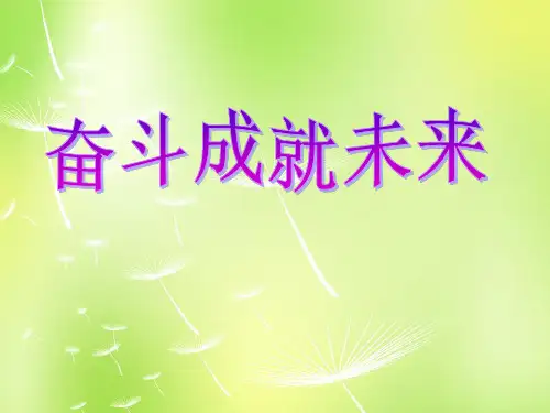 鲁教版初三下册政治10.2奋斗成就未来PPT课件(12)