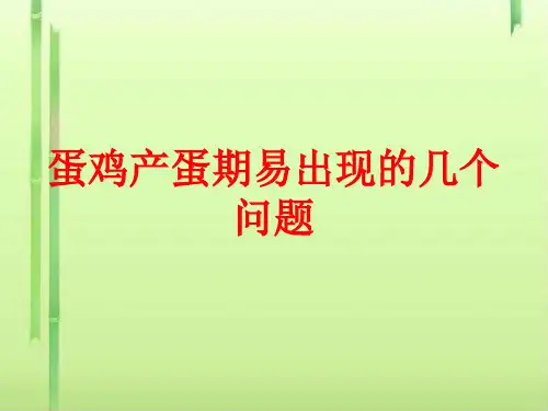 蛋鸡产蛋期易出现的几个问题