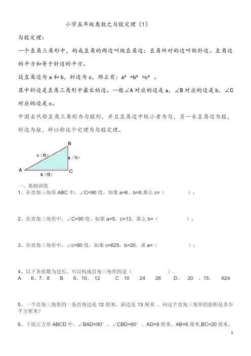 小学五年级奥数之勾股定理(1)