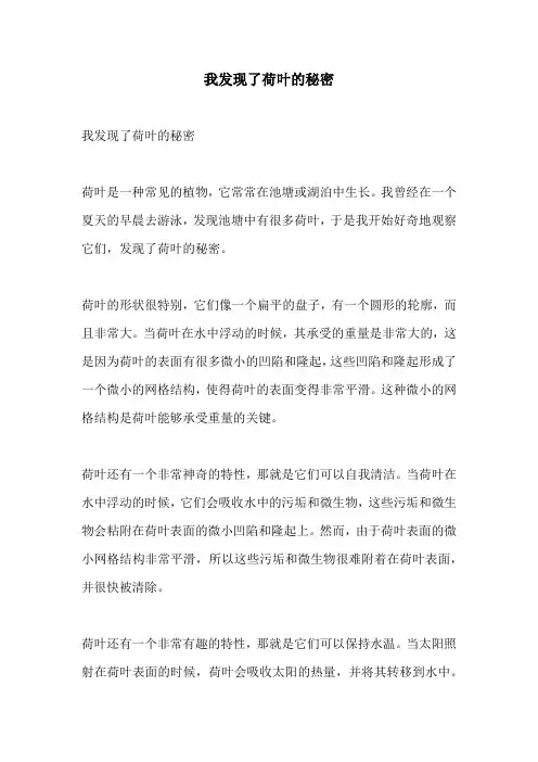 我发现了荷叶的秘密