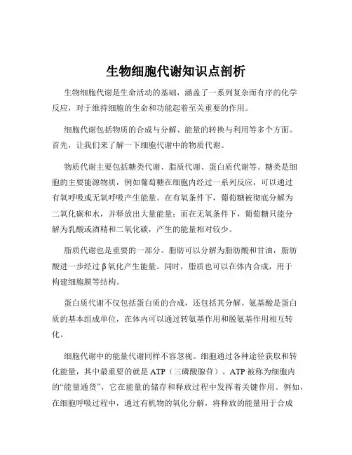 生物细胞代谢知识点剖析