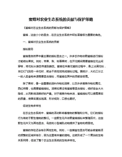 蜜蜂对农业生态系统的贡献与保护策略
