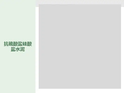 抗硫酸盐硅酸盐水泥