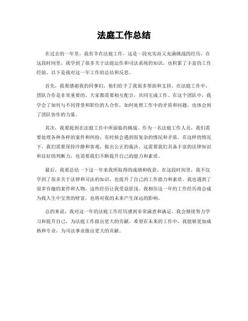 法庭工作总结