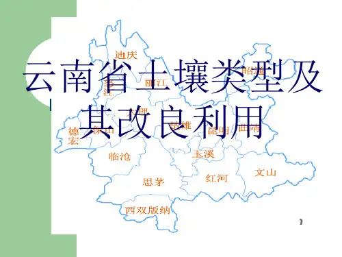 云南土壤类型..
