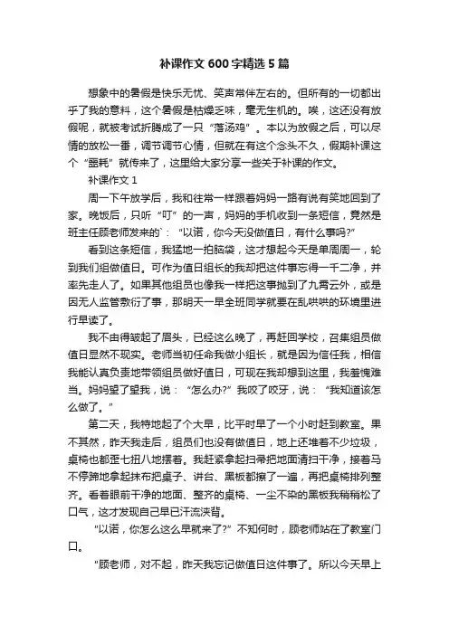 补课作文600字精选5篇