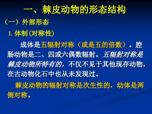 第十二章棘皮动物