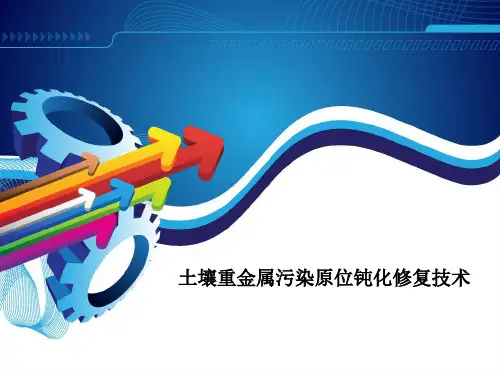 土壤污染原位化学固定(固化稳定化)修复技术