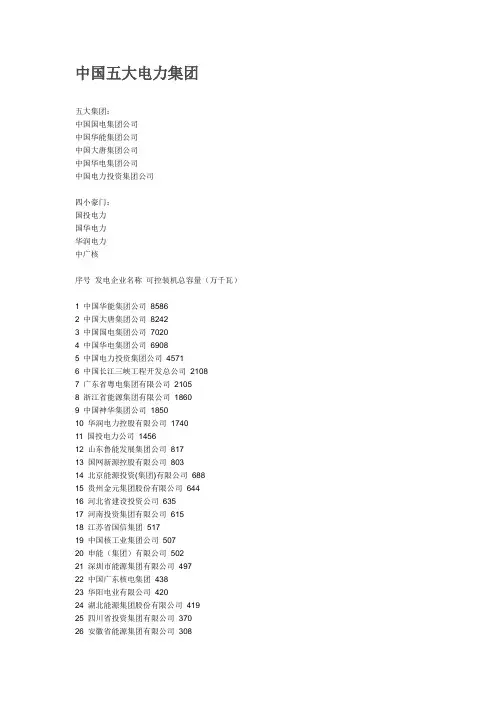 中国五大电力集团