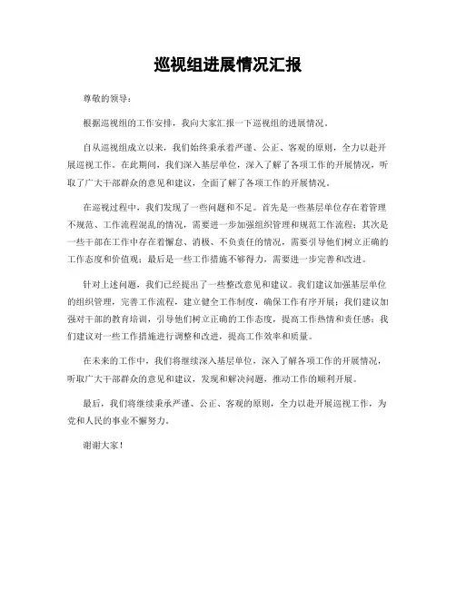 巡视组进展情况汇报