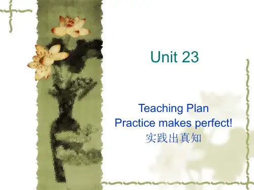 实践出真知ppt