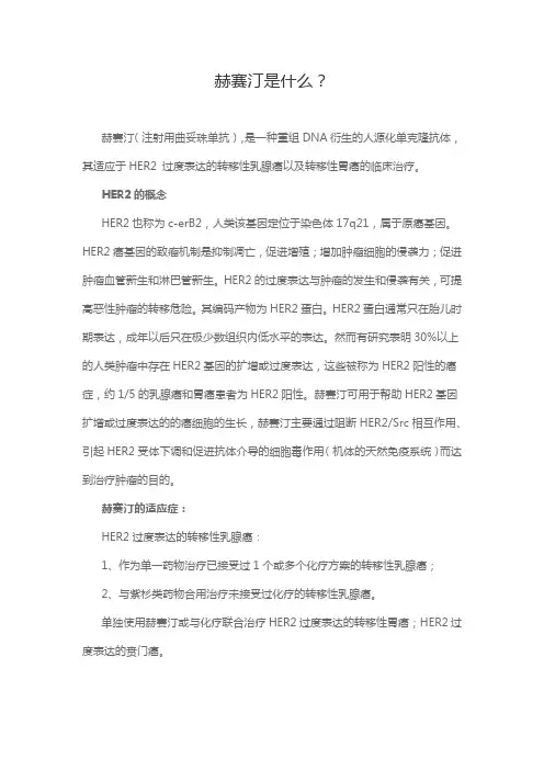 赫赛汀是什么？