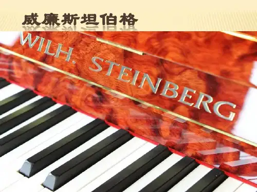 威廉斯坦伯格