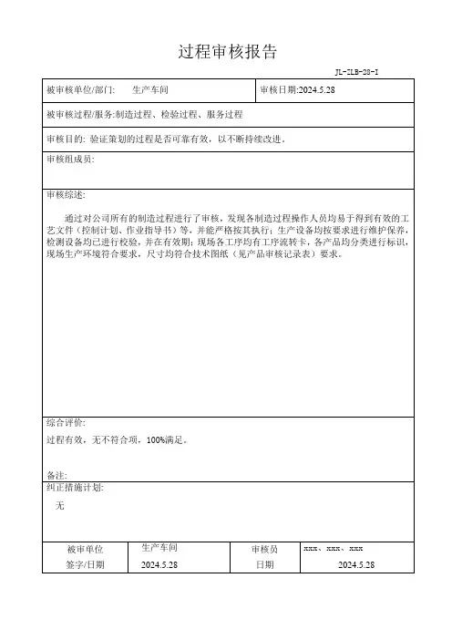 过程审核报告