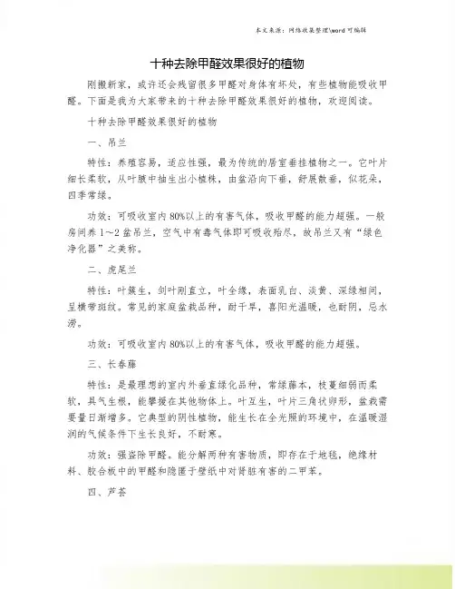 十种去除甲醛效果很好的植物