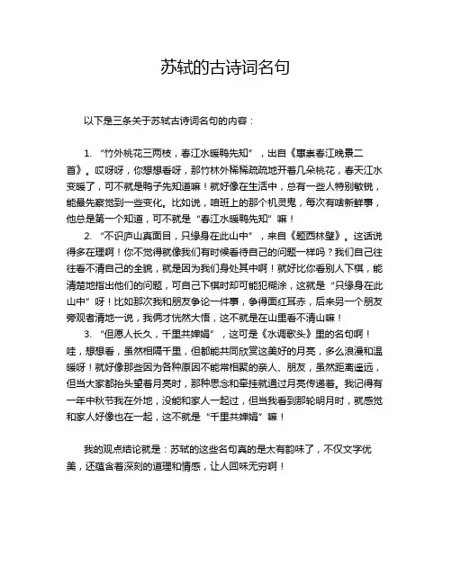 苏轼的古诗词名句