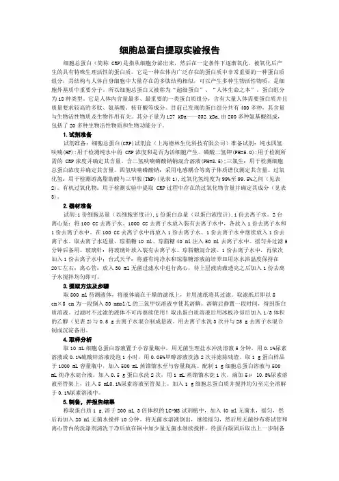 细胞总蛋白提取实验报告