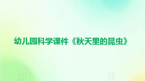幼儿园科学课件《秋天里的昆虫》