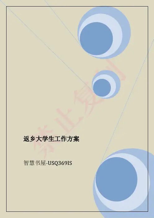 返乡大学生工作方案