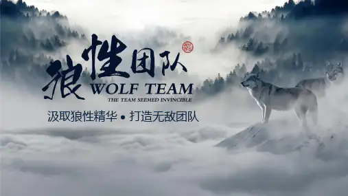 狼性文化狼道狼群精神 打造无敌团队精品PPT内容完整