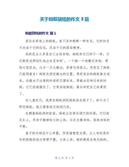 关于蚂蚁团结的作文3篇