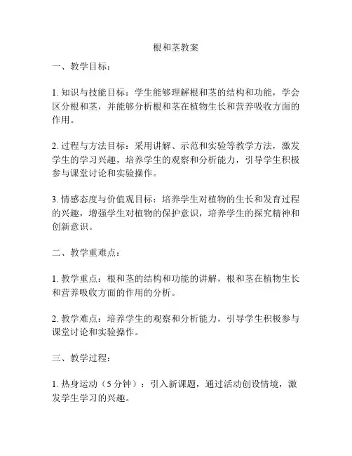 根和茎教案