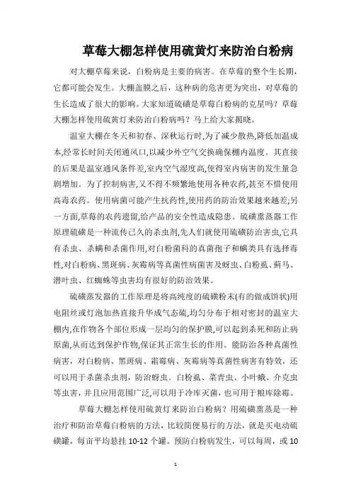草莓大棚怎样使用硫黄灯来防治白粉病