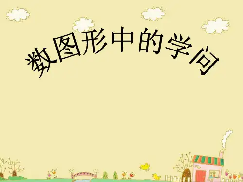 数图形中的学问PPT课件
