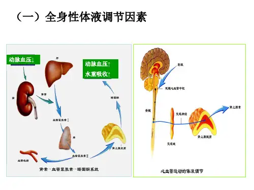 体液调节概述