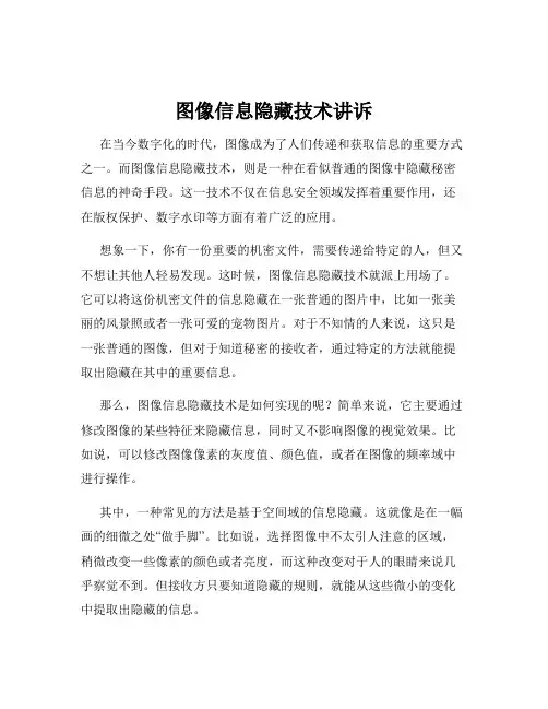 图像信息隐藏技术讲诉