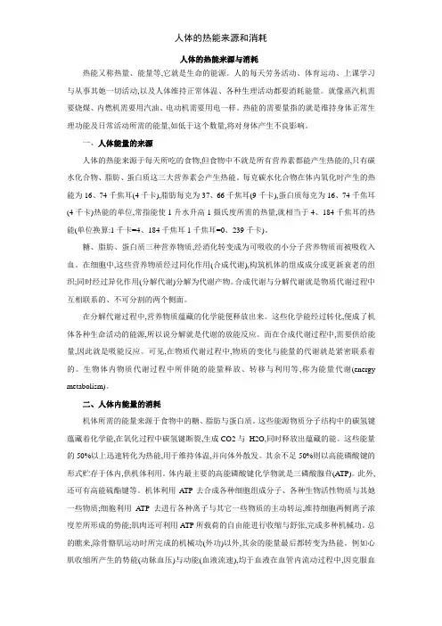 人体的热能来源和消耗
