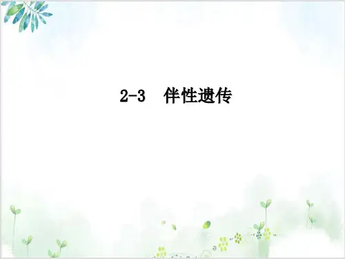 [人教版]《伴性遗传》优质课件1
