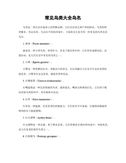 常见鸟类大全鸟名