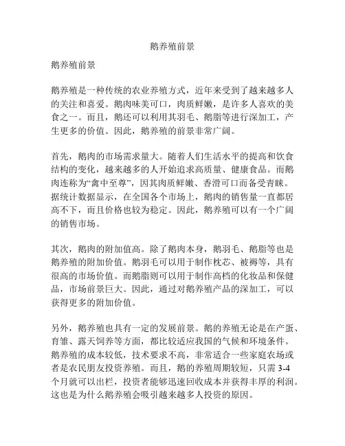 鹅养殖前景
