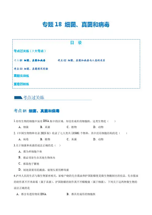 专题18细菌、真菌和病毒(练习)(原卷版)-2025年中考生物一轮复习讲练测(全国通用)
