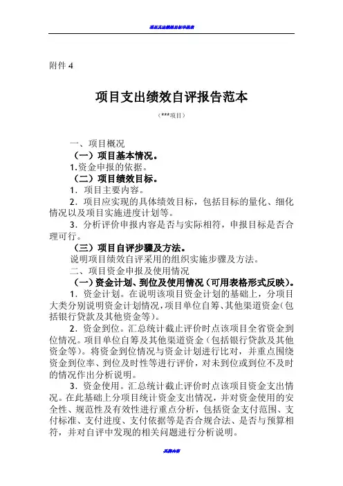项目支出绩效自评报告范本