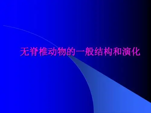 无脊椎动物的一般结构和进化