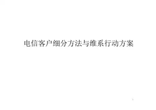 电信客户细分方法与维系行动方案