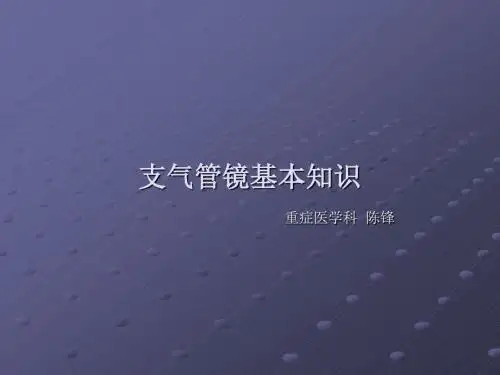 支气管镜 培训ppt课件