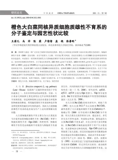 橙色大白菜同核异质细胞质雄性不育系的分子鉴定与园艺性状比较