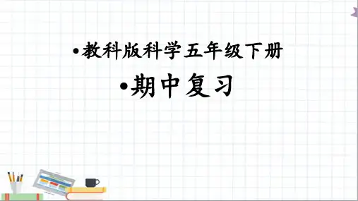 教科版五年级科学下册其中复习课件