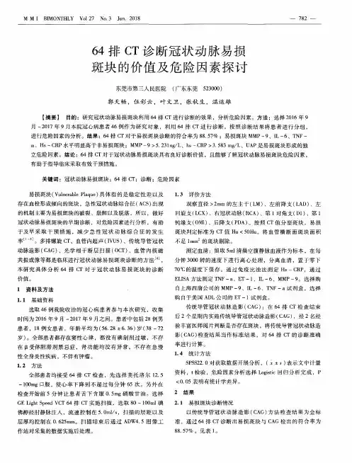 64排CT诊断冠状动脉易损斑块的价值及危险因素探讨
