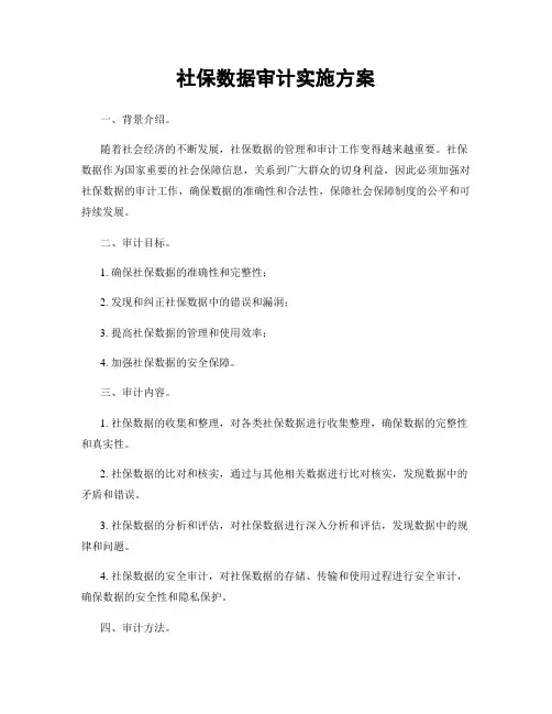 社保数据审计实施方案