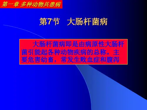 3-14大肠杆菌病